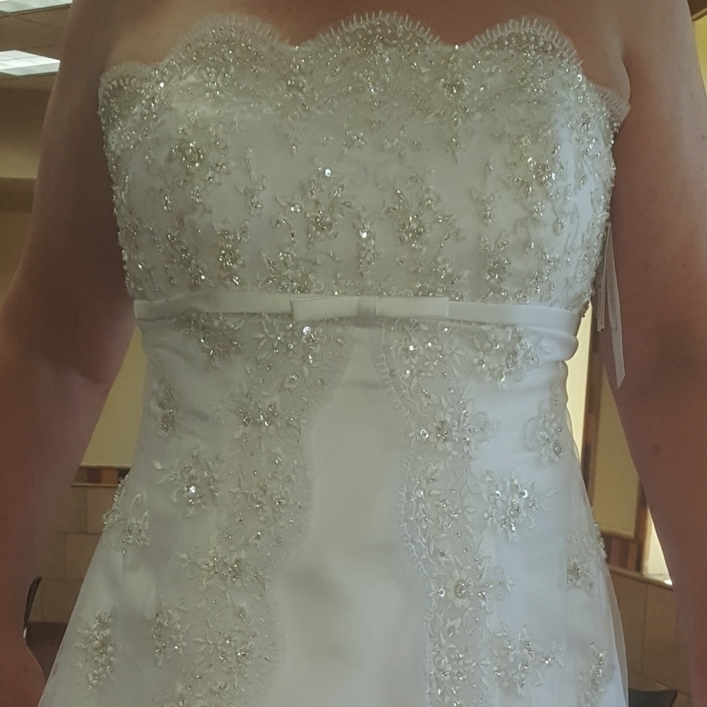 David's Bridal Wedding Dress
